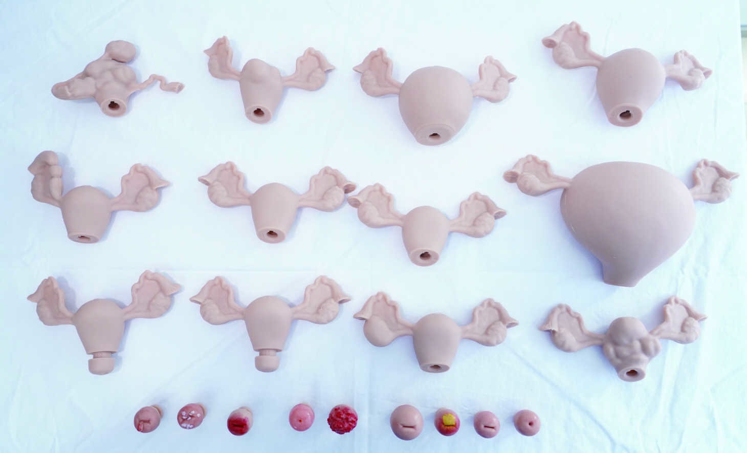 advanced-gynecologic-simulator-plus-tellyes-scientific-inc