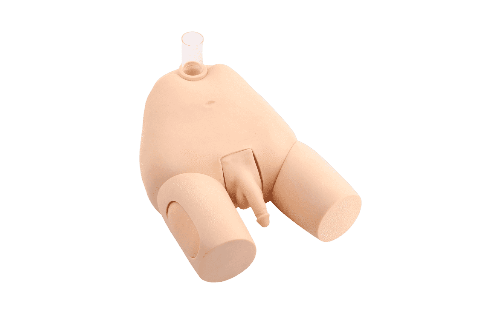 Advanced Male Bladder Puncture Model
