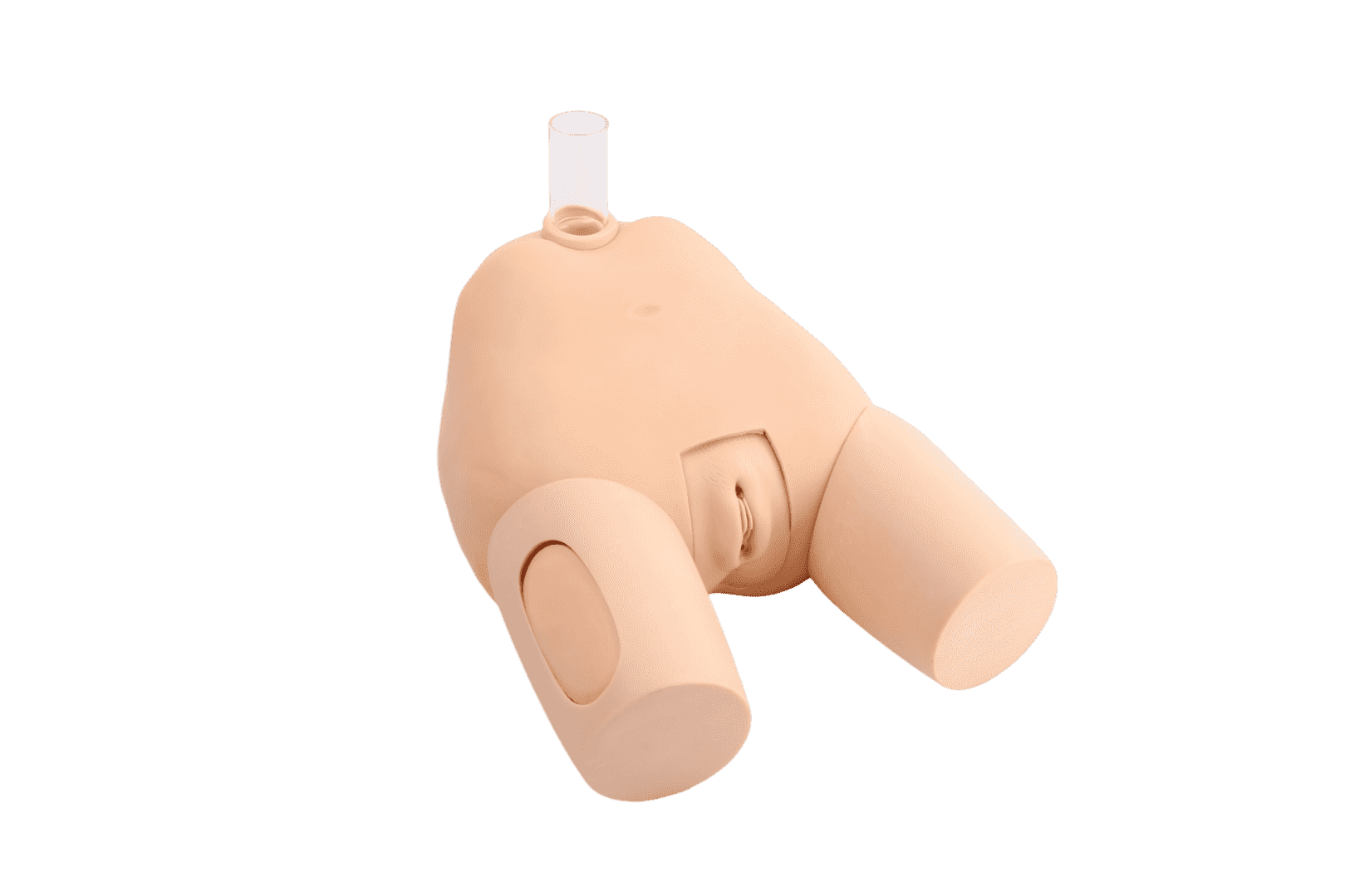 Advanced Female Bladder Puncture Model